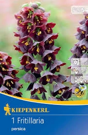 Kiepenkerl Fritillaria Persica császárkorona virághagyma 1db