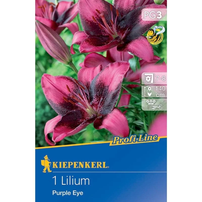 Kiepenkerl Purple Eye Liliom  1db