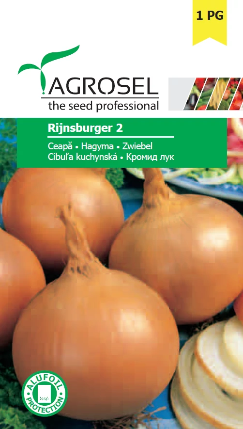 Agrosel Rijnsburger 2 Hagyma 2g