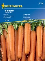 Kiepenkerl Santorin sárgarépa