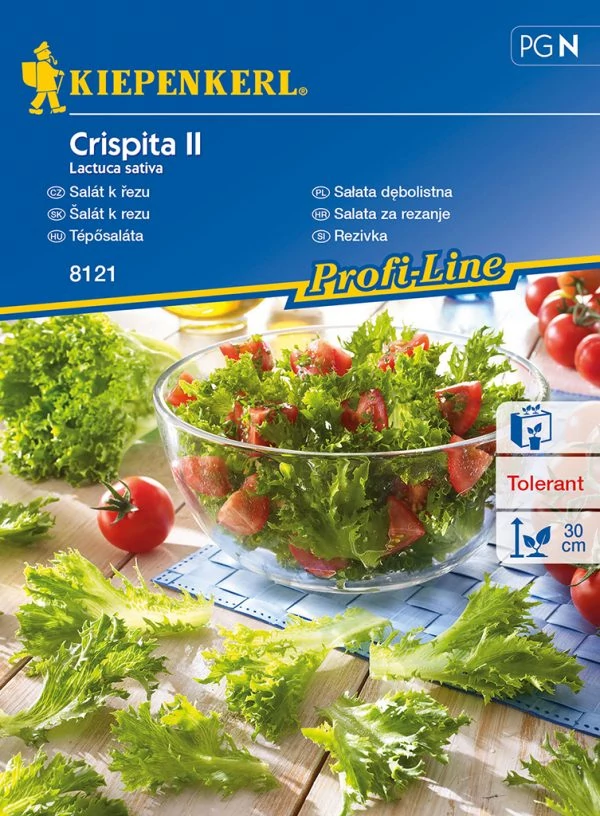 Kiepenkerl Crispita tépősaláta