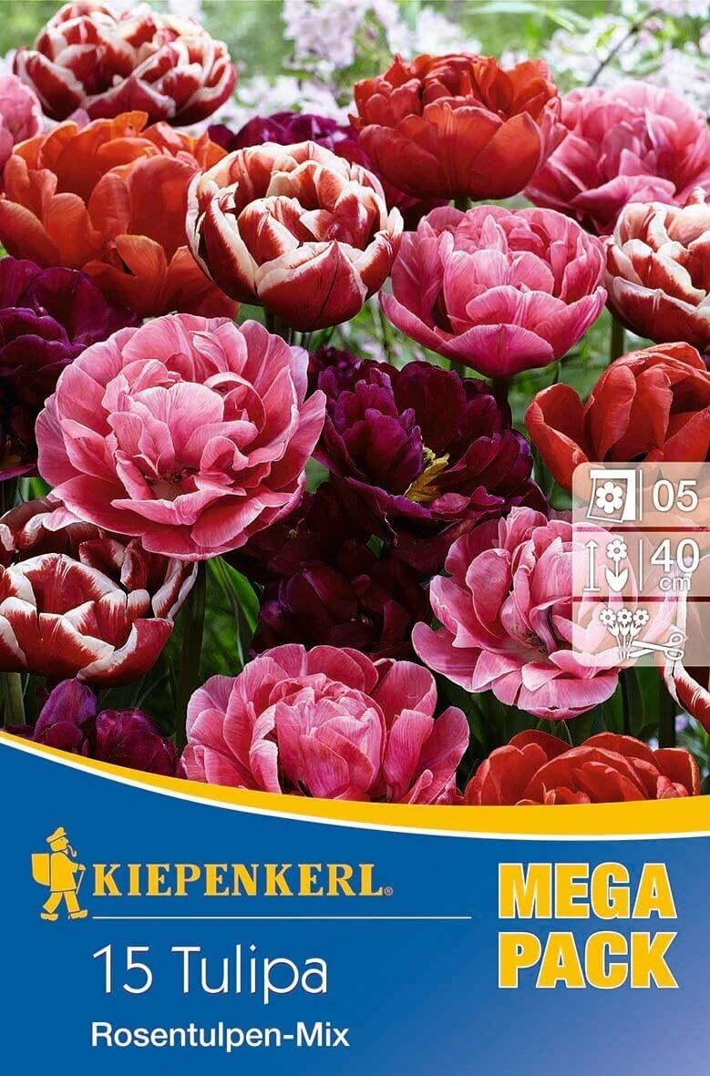 Kiepenkerl Rosentulpen-Mix vegyes teltvirágú tulipánhagymák MEGA PACK 15db