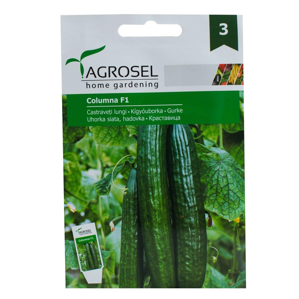 Agrosel Kígyóuborka Columna F1 12szem 