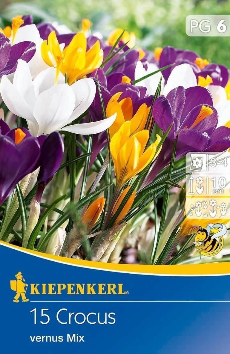 Kiepenkerl Crocus vernus Großblumiger Mix vegyes nagyvirágú 15db