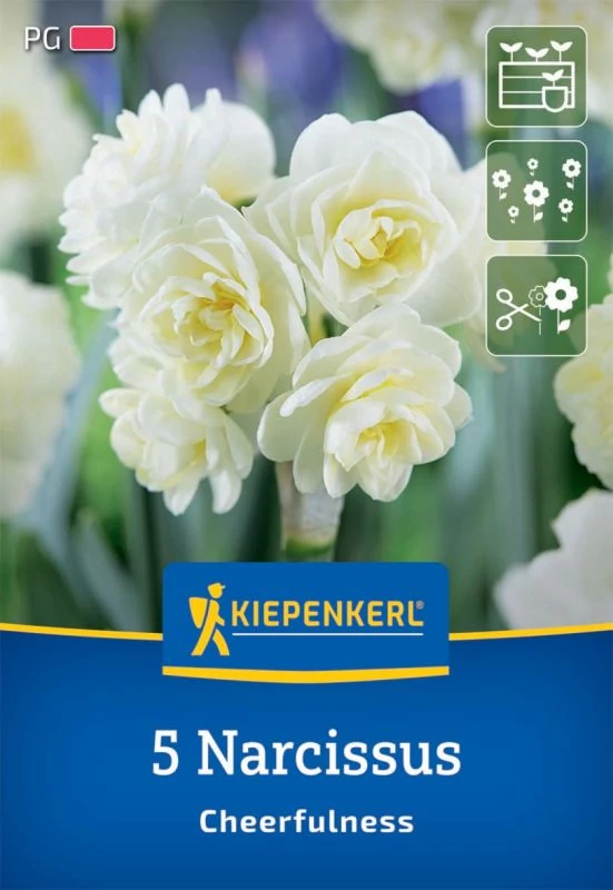Kiepenkerl Nárcisz Cheerfulness virághagymák 5db