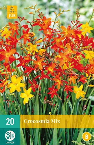 Jub Crocosmia Sáfrányfű mix 20 db