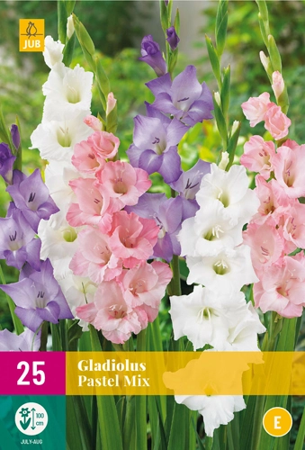 Jub Gladiolus pastel mix -  kardvirág pasztell mix 25 db