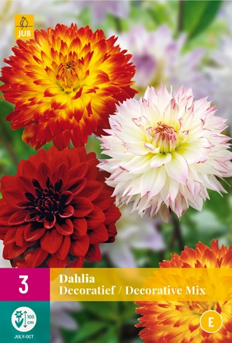 Jub Decoratief dália mix 3 db XXL pack