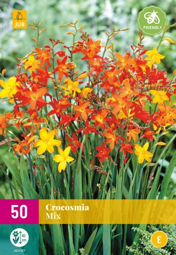 Jub crocosmia Sáfrányfű mix 50 db